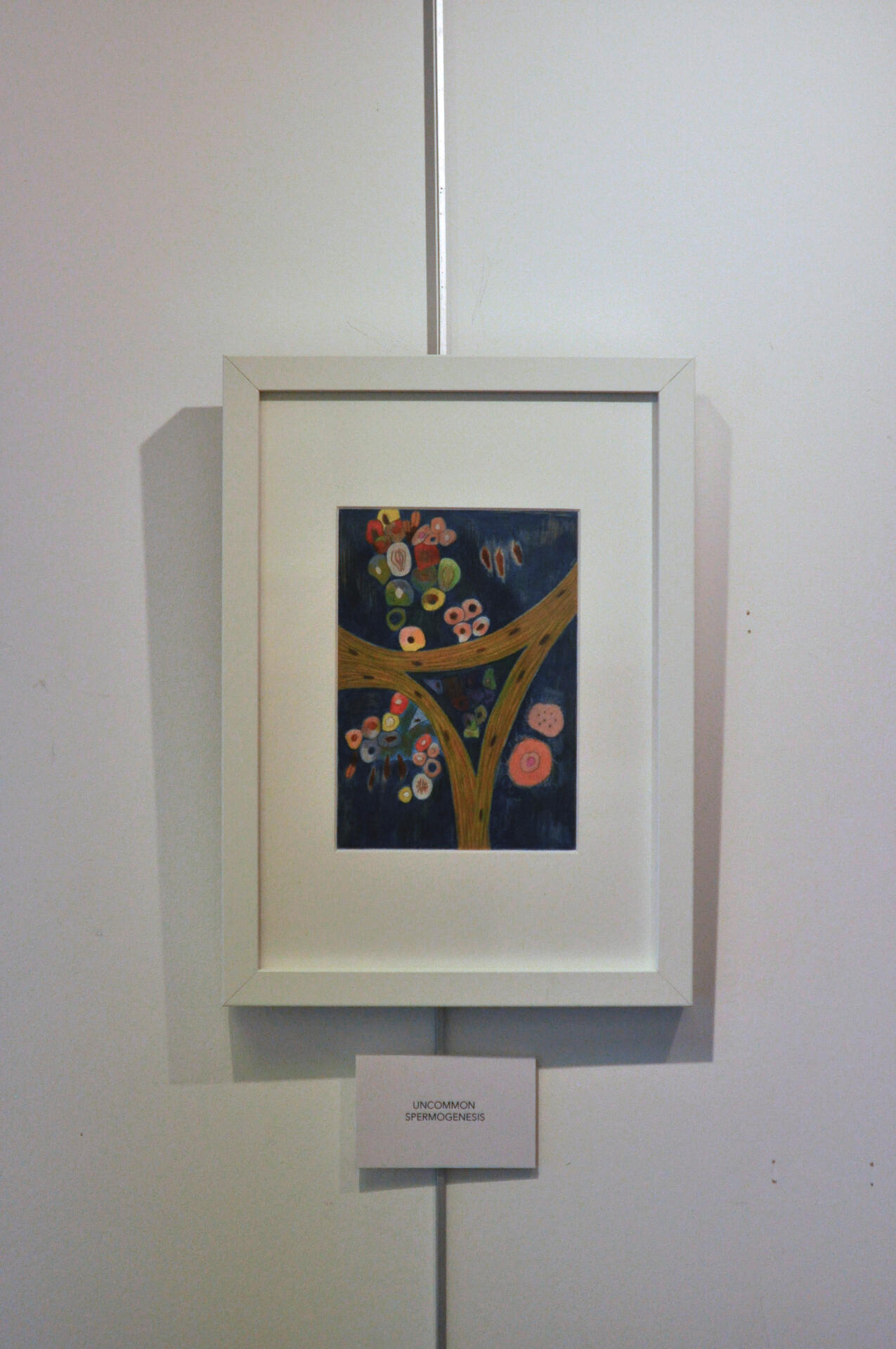 Exhibition-Maureen Lasne-Colored pencils-Drawings