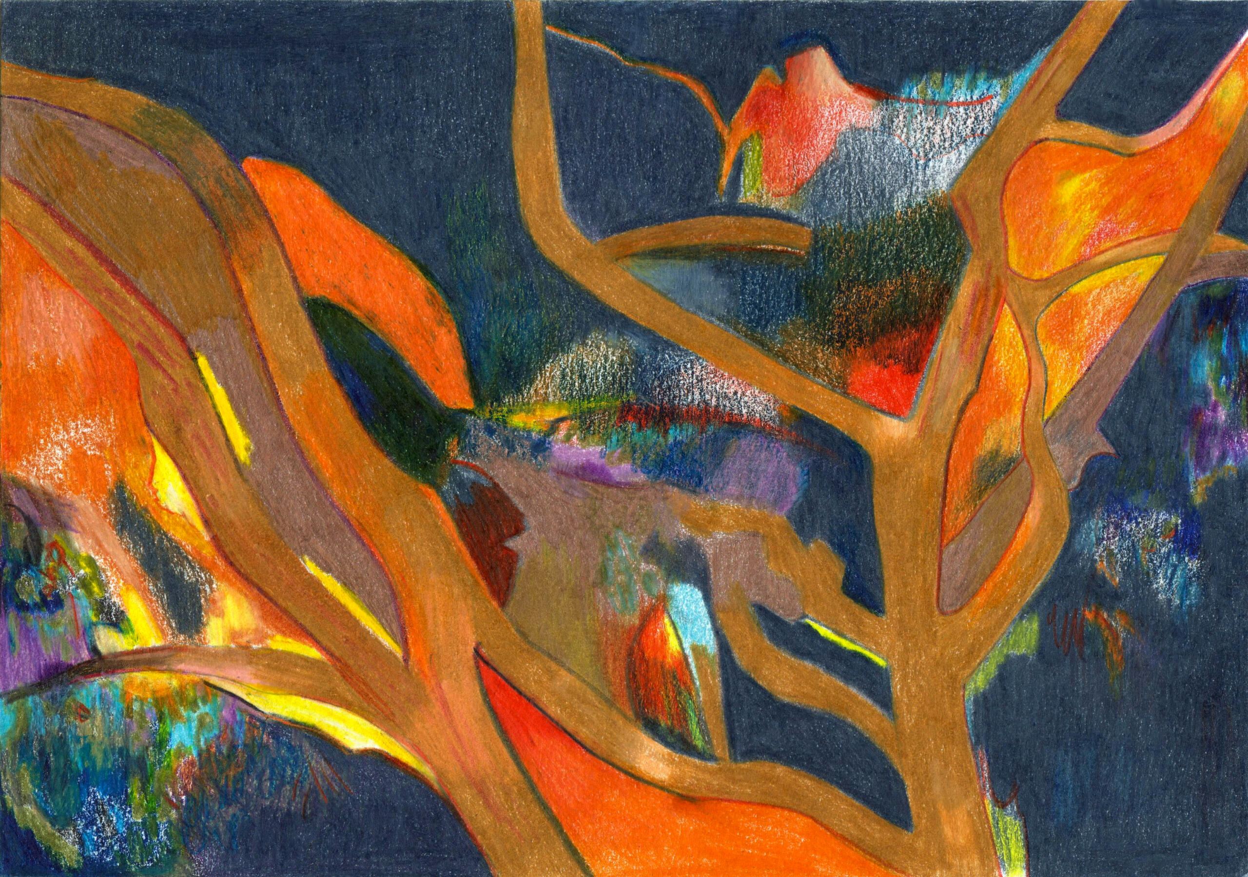 Woods - bois - Dessin aux crayons de couleur - Drawing - Colored pencil - maureenlasne