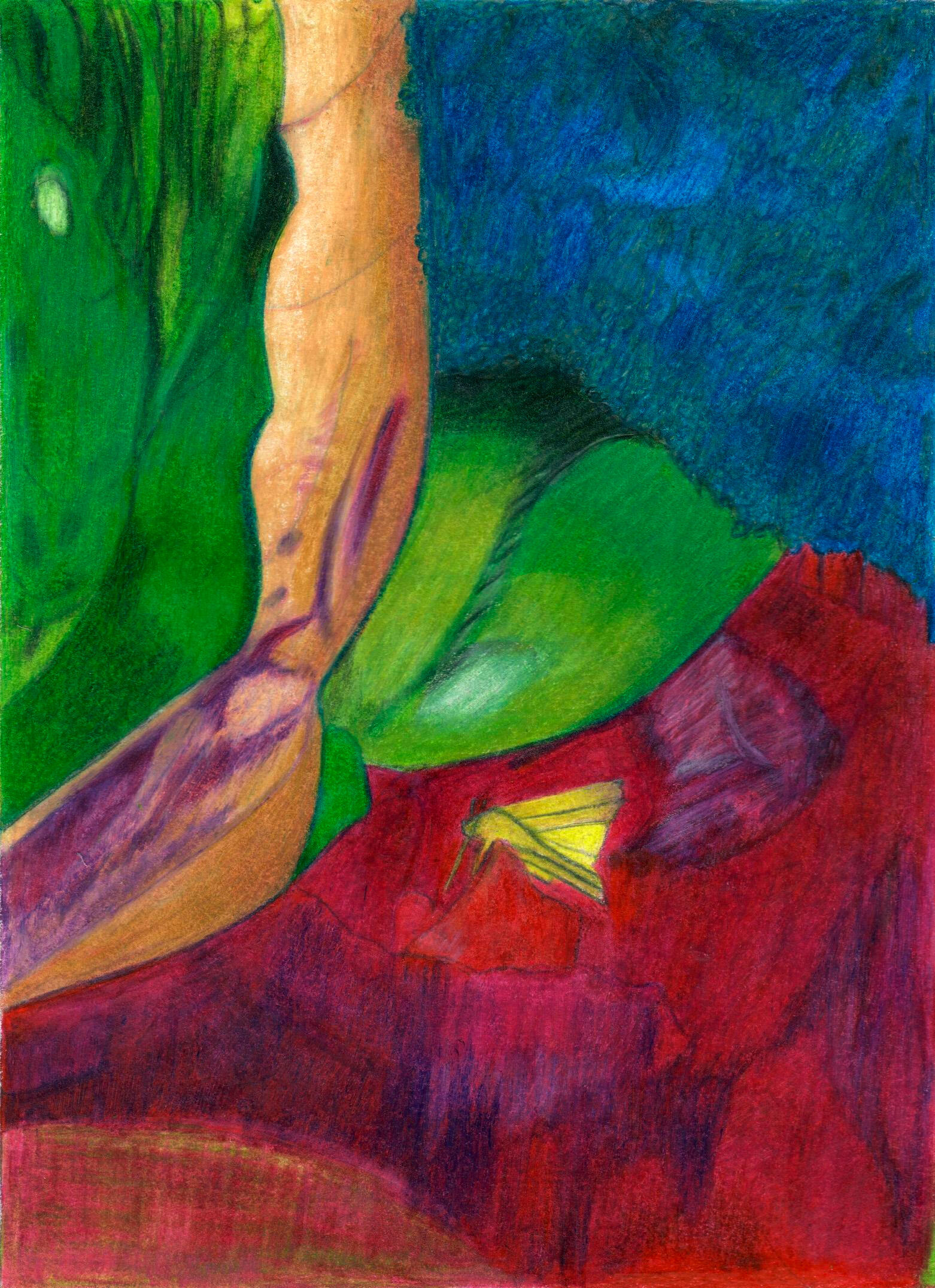 Artifice - Dessin aux crayons de couleur - Drawing - colored pencils ) maureenlasne