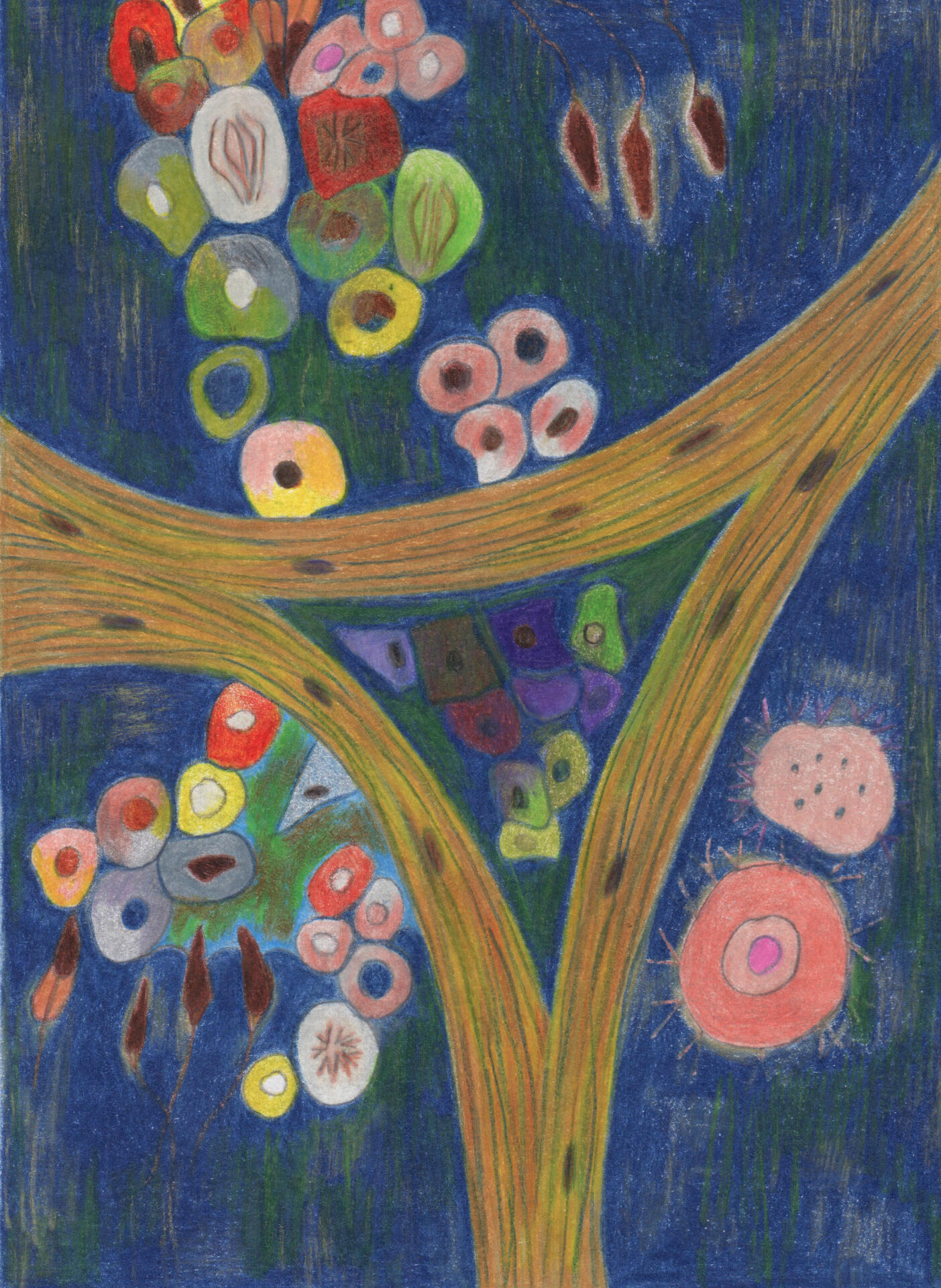 Uncommon spermatogenesis Uncommon spermatogenesis - Dessin aux crayons de couleur-Drawing