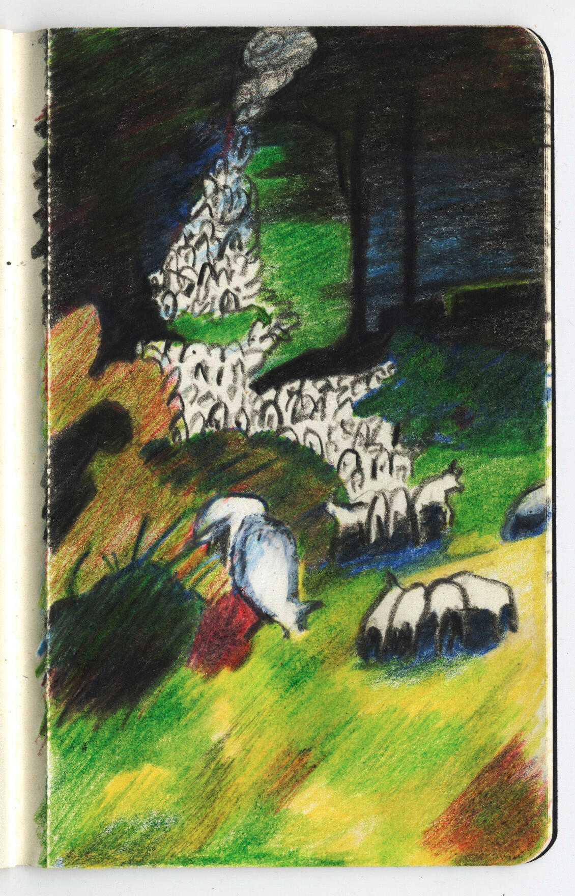 Moutons italiens Moutons italiens - Dessin aux crayons de couleur